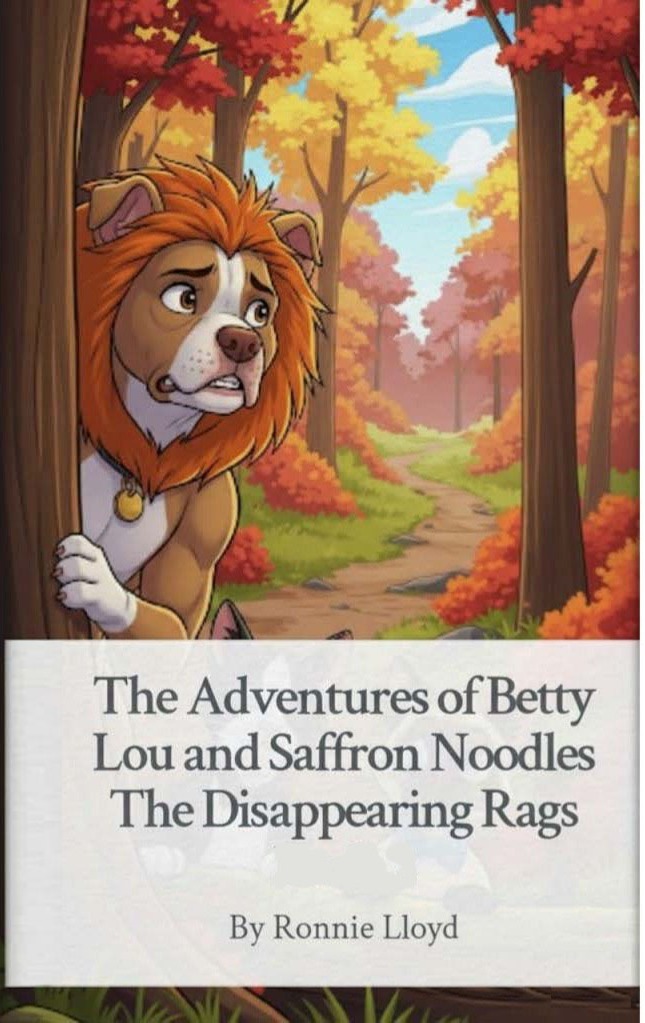 The Adventures of Betty Lou and Saffron Noodles: The Disappearing Rags cover