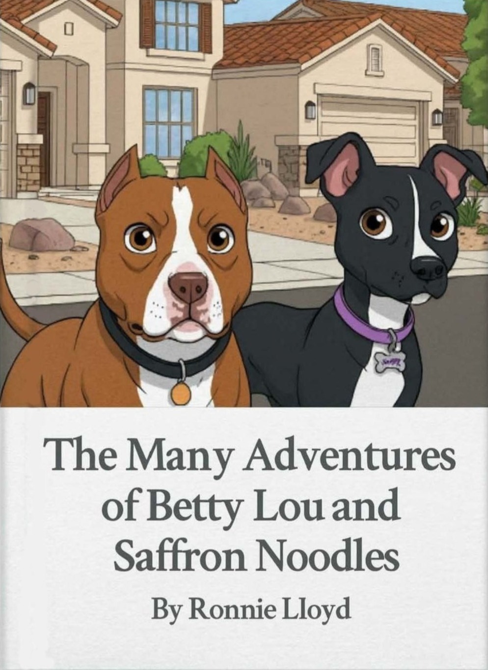 The Many Adventures of Betty Lou and Saffron Noodles cover